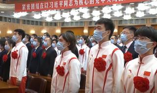 苏翊鸣戴奖牌参加表彰大会