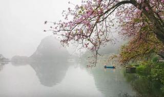 回南天电影在线观看免费