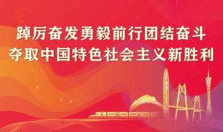 “两个确立”是什么