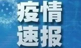 上海累计确诊和无症状人数