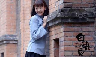 白鹿原白灵为什么换了
