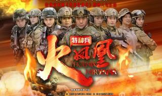 我是特种兵2片尾曲