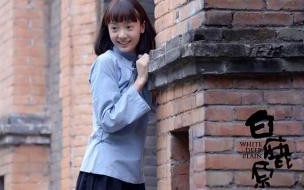 《白鹿原》白灵为什么换人了 白鹿原白灵为什么换了