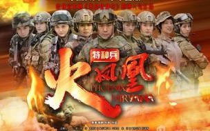 我是特种兵2片尾曲歌名是 我是特种兵2片尾曲