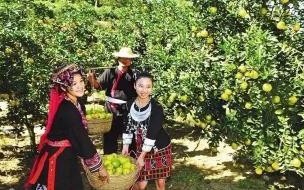 求穿越之黎锦的农家日常所有番外 穿越之黎锦的农家日常